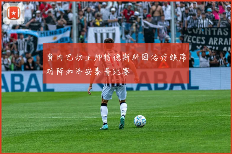 费内巴切主帅特德斯科因治疗缺席对阵加济安泰普比赛