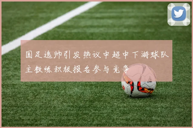 国足选帅引发热议中超中下游球队主教练积极报名参与竞争