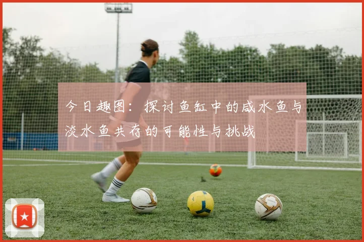 今日趣图：探讨鱼缸中的咸水鱼与淡水鱼共存的可能性与挑战
